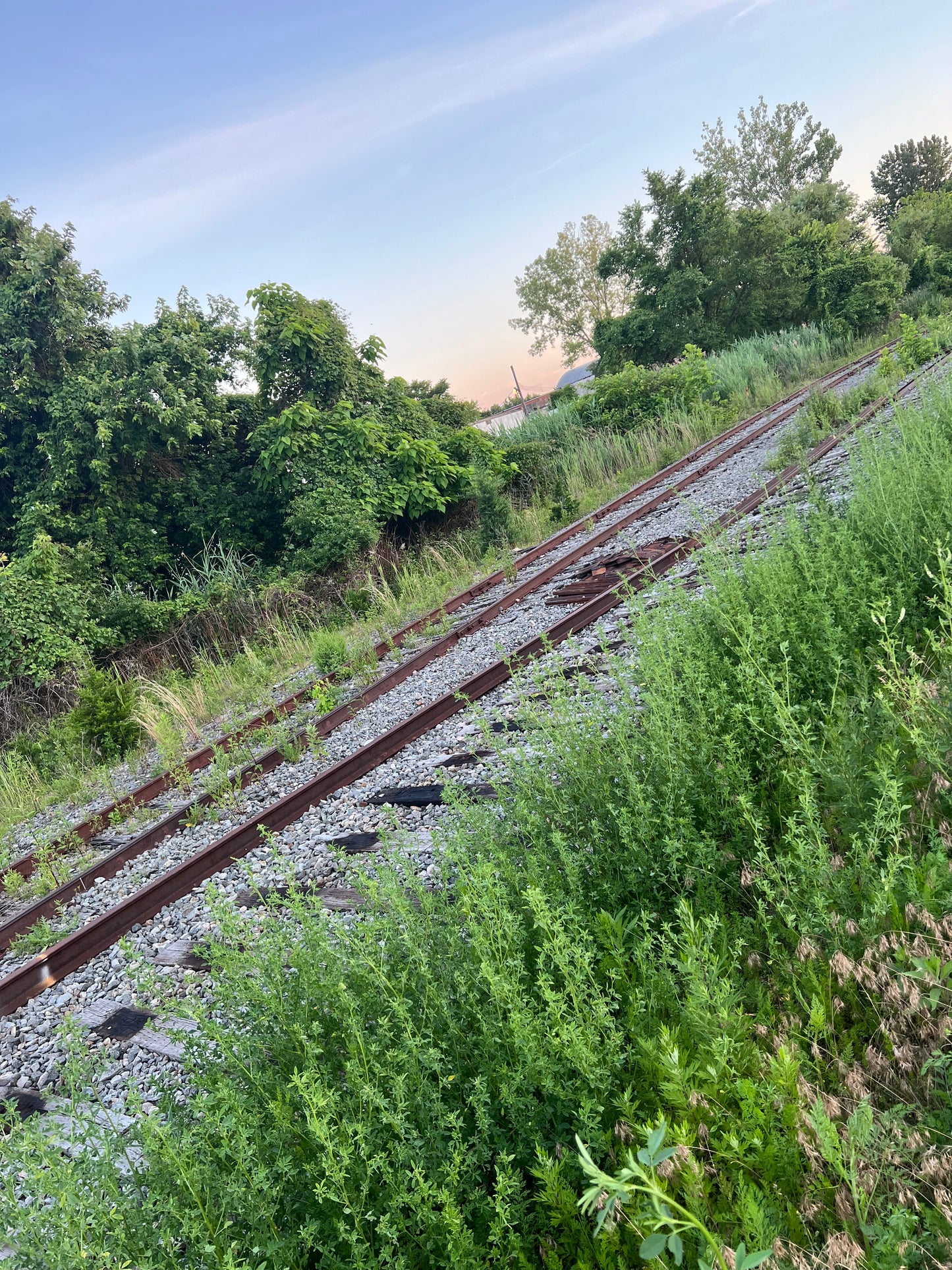 Iron Railroad Spikes