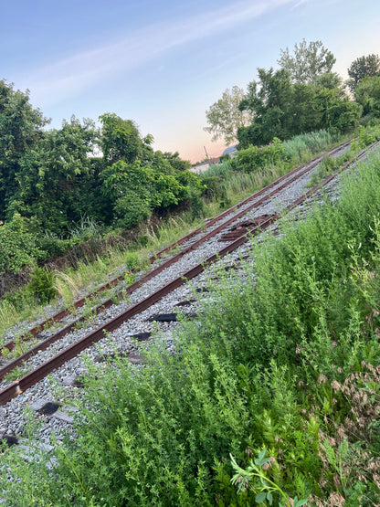 Iron Railroad Spikes