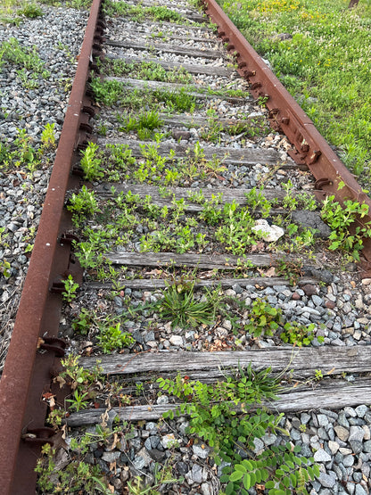 Iron Railroad Spikes